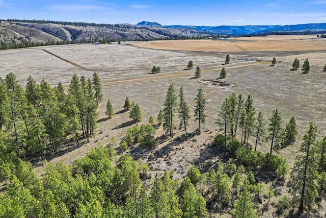 38800 E Sand Flats Dr, Davenport, WA 99122
