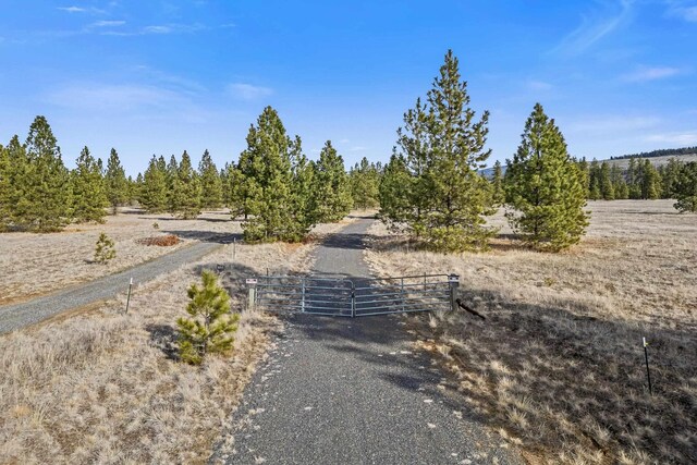 38800 E Sand Flats Dr, Davenport, WA 99122