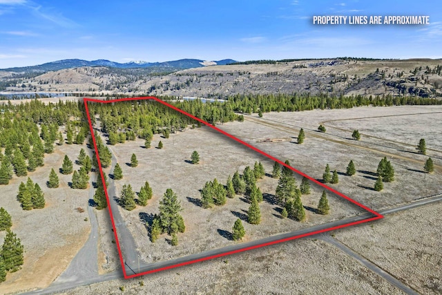 38800 E Sand Flats Dr, Davenport, WA 99122