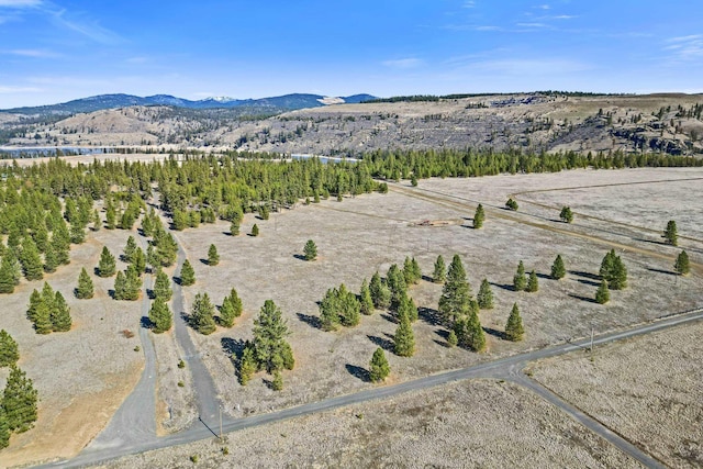 38800 E Sand Flats Dr, Davenport, WA 99122