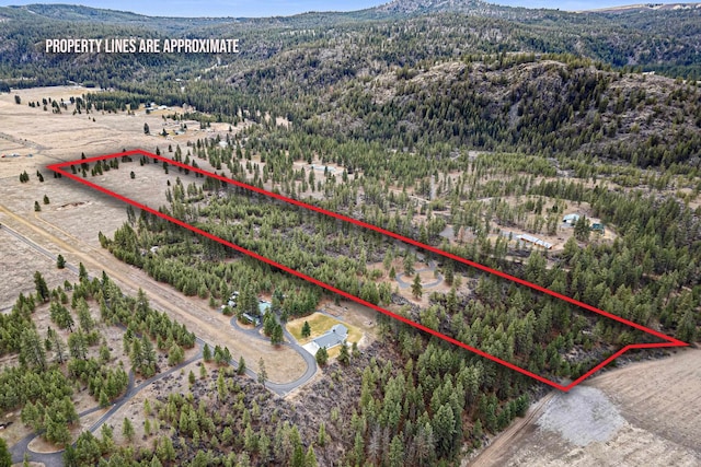 38800 E Sand Flats Dr, Davenport, WA 99122