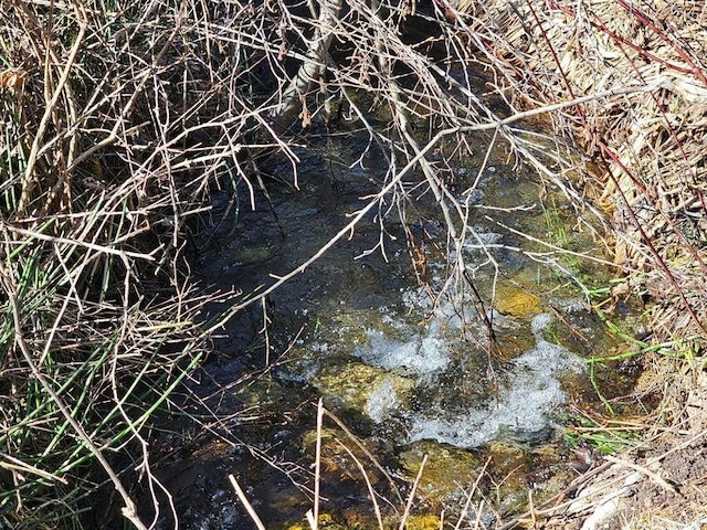3610 Sand Creek Rd, Kettle Falls, WA 99141 - view of local wilderness