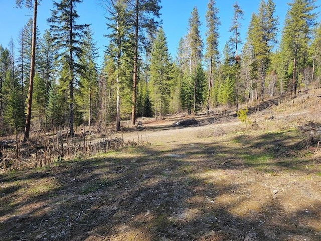 3610 Sand Creek Rd, Kettle Falls, WA 99141 - view of local wilderness with a wooded view