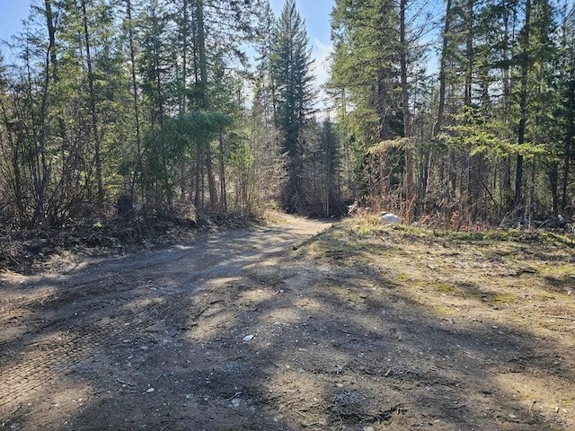 3610 Sand Creek Rd, Kettle Falls, WA 99141 - view of street with a forest view