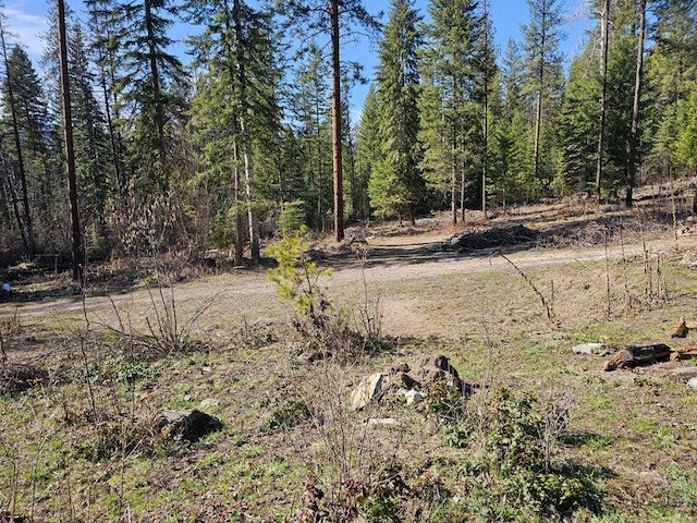 3610 Sand Creek Rd, Kettle Falls, WA 99141 - view of local wilderness