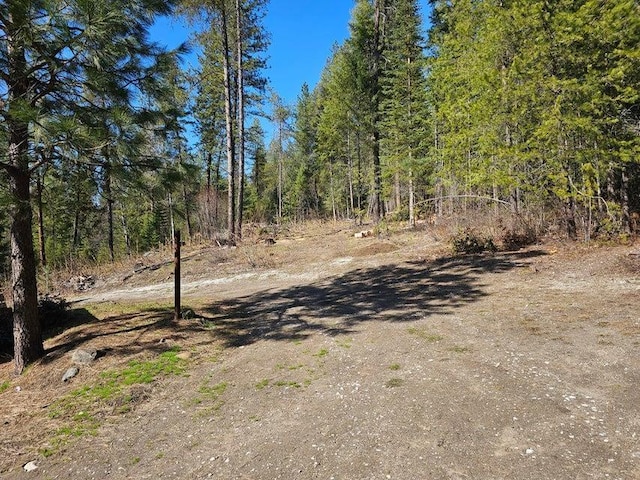 3610 Sand Creek Rd, Kettle Falls, WA 99141 - view of road with a forest view