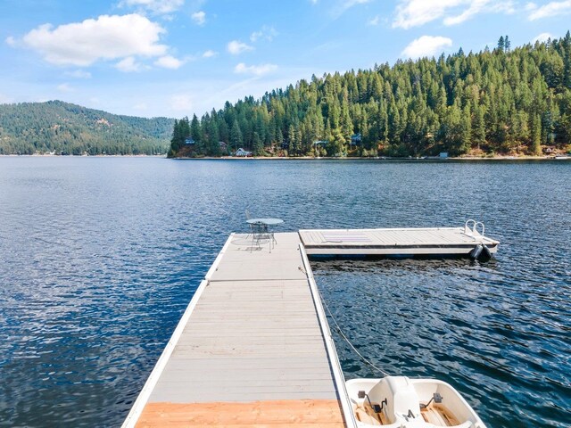 3923 E Pine Bay Rd, Loon Lake, WA 99148
