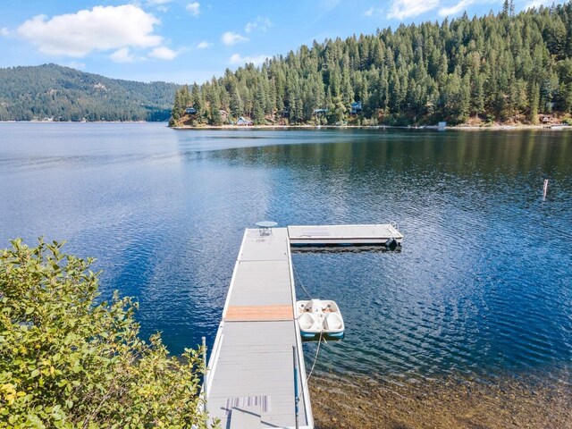 3923 E Pine Bay Rd, Loon Lake, WA 99148