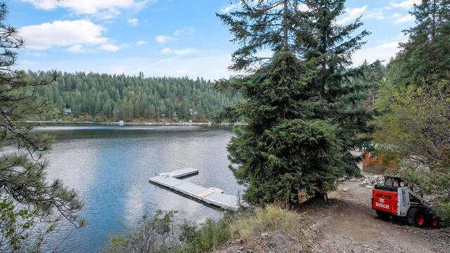 3923 E Pine Bay Rd, Loon Lake, WA 99148