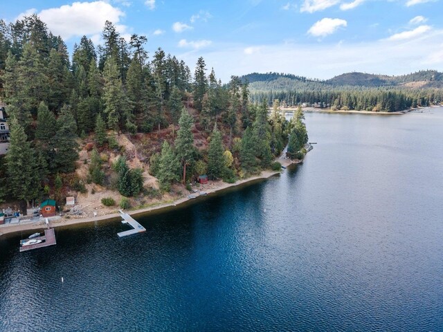 3923 E Pine Bay Rd, Loon Lake, WA 99148