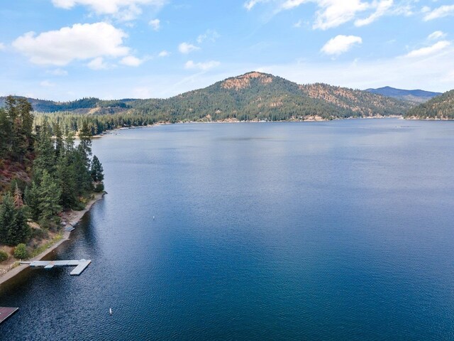 3923 E Pine Bay Rd, Loon Lake, WA 99148