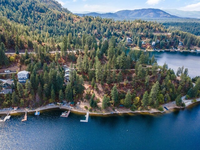 3923 E Pine Bay Rd, Loon Lake, WA 99148