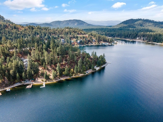 3923 E Pine Bay Rd, Loon Lake, WA 99148