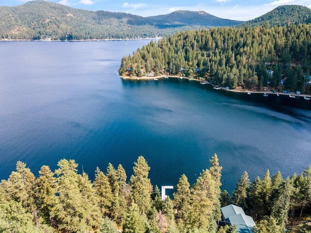 3923 E Pine Bay Rd, Loon Lake, WA 99148