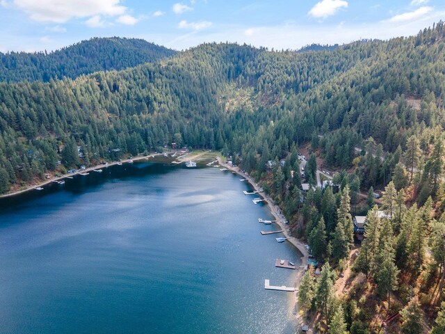 3923 E Pine Bay Rd, Loon Lake, WA 99148
