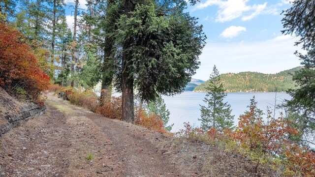 3923 E Pine Bay Rd, Loon Lake, WA 99148