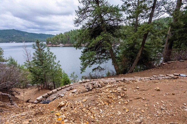 3923 E Pine Bay Rd, Loon Lake, WA 99148