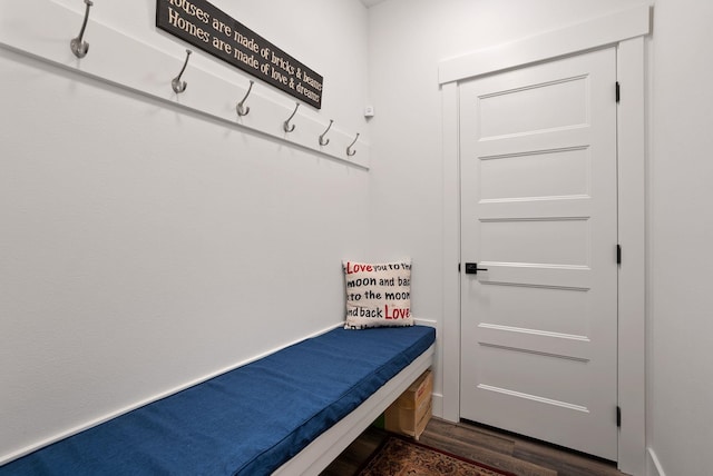 mudroom featuring dark wood finished floors