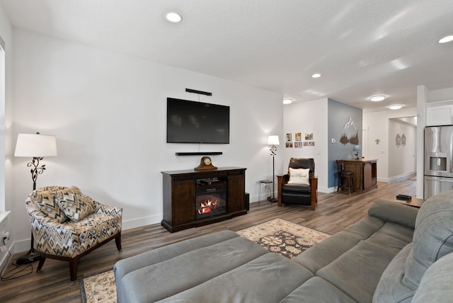 living area featuring baseboards, wood finished floors, and a glass covered fireplace