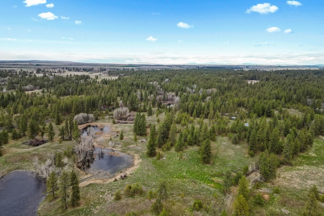 297XX W Fancher Rd, Medical Lake, WA 99022
