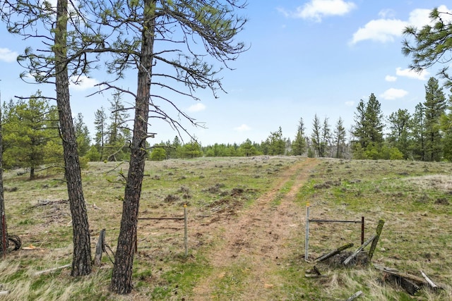 297XX W Fancher Rd, Medical Lake, WA 99022