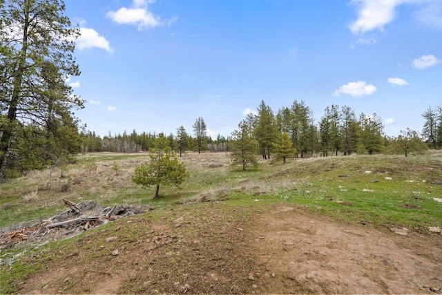 297XX W Fancher Rd, Medical Lake, WA 99022