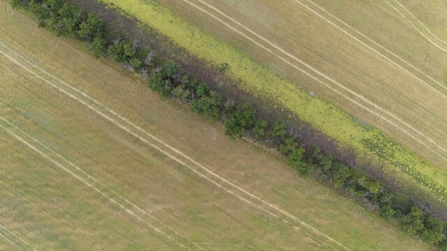 0 E Toll Rd, Rockford, WA 99030