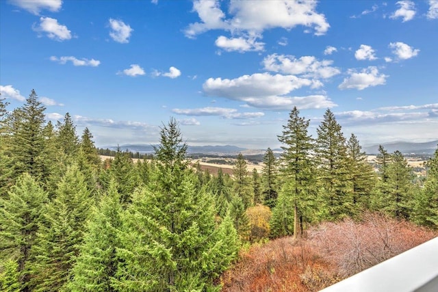 6808 S Jackson Ridge Ln, Greenacres, WA 99016 - view of local wilderness with a wooded view