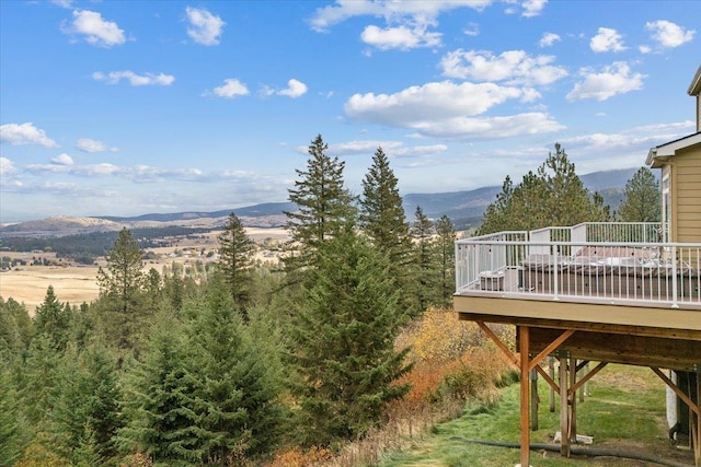 6808 S Jackson Ridge Ln, Greenacres, WA 99016 - mountain view