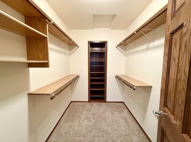 spacious closet with carpet floors