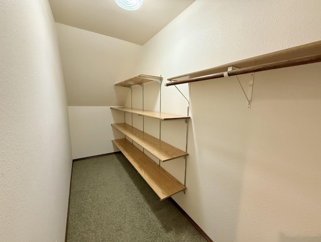 walk in closet featuring vaulted ceiling and carpet flooring