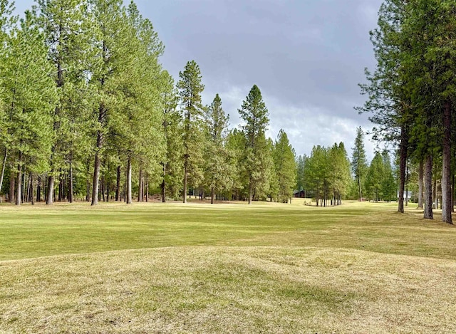 view of community with a yard