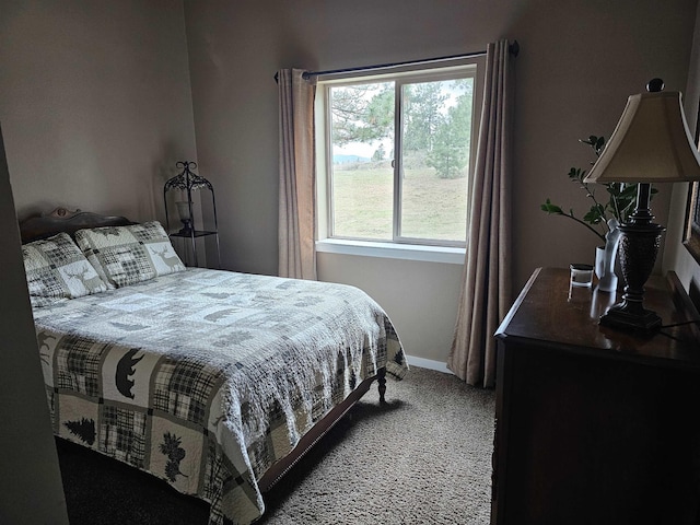 21319 E Harvard Vistas Ln, Newman Lake, WA 99025 - bedroom featuring carpet floors and baseboards
