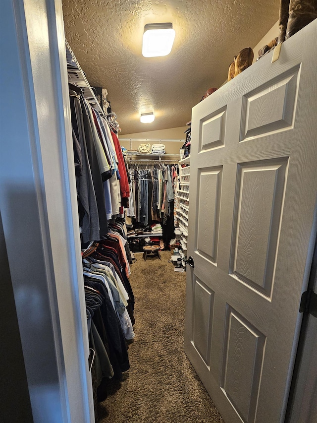 21319 E Harvard Vistas Ln, Newman Lake, WA 99025 - spacious closet with carpet flooring