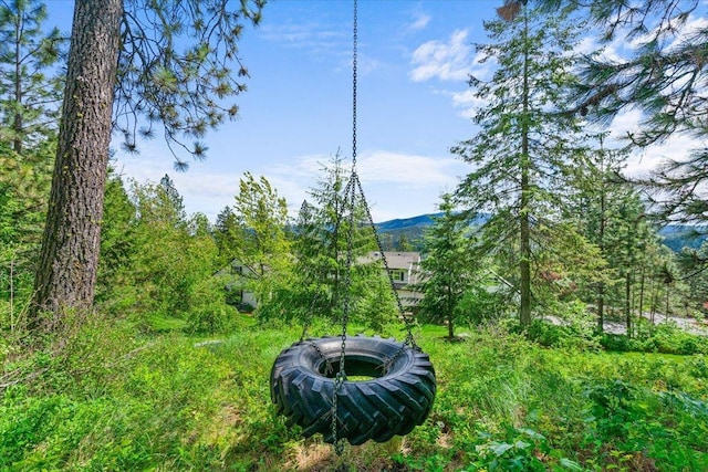 6814 S Jackson Ridge Ln, Greenacres, WA 99016 - view of mountain backdrop