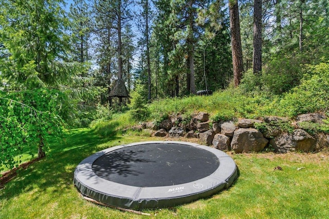 6814 S Jackson Ridge Ln, Greenacres, WA 99016 - view of green lawn with a trampoline