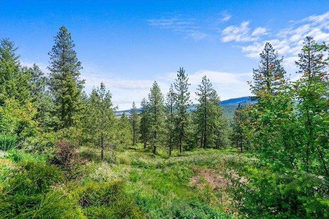 6814 S Jackson Ridge Ln, Greenacres, WA 99016 - view of mountain backdrop with a forest