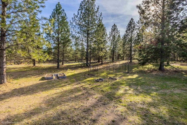 27809 N Bruce Rd, Chattaroy, WA 99003 - view of yard