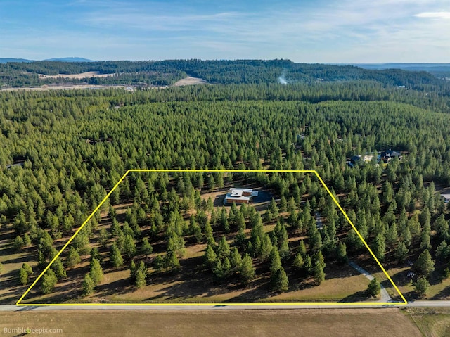 27809 N Bruce Rd, Chattaroy, WA 99003 - bird's eye view featuring a wooded view