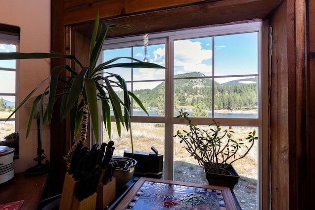 4004P N Northport Flat Creek Rd, Northport, WA 99157 - view of interior details