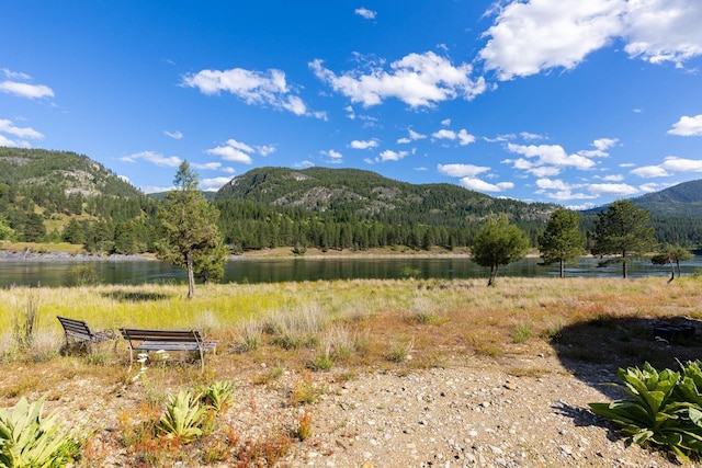 4004P N Northport Flat Creek Rd, Northport, WA 99157 - mountain view with a water view and a forest view