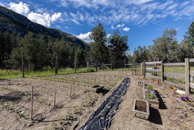 4004P N Northport Flat Creek Rd, Northport, WA 99157 - view of yard featuring fence, a mountain view, and a garden