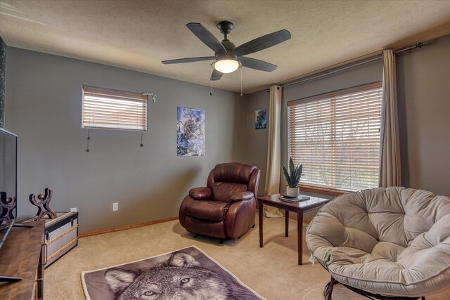 2109 S Steen Rd, Spokane Valley, WA 99037 - photo 34