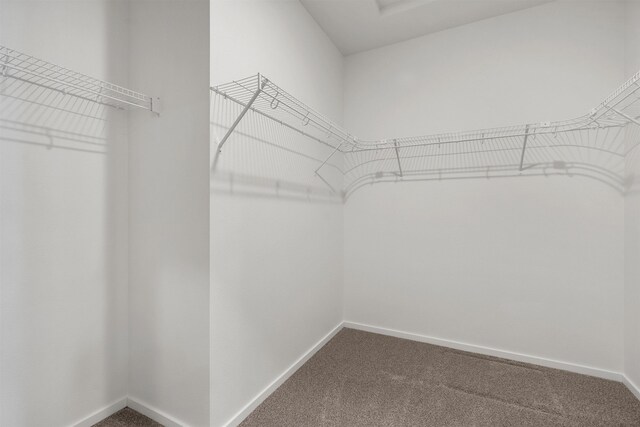 805 E 5th St, Deer Park, WA 99006 - walk in closet featuring carpet floors