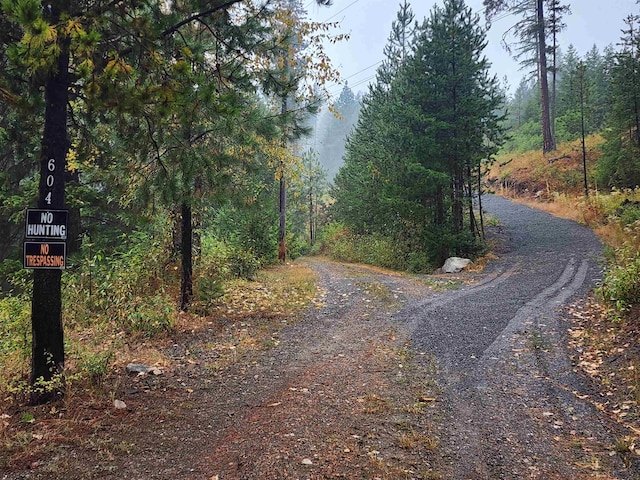 604 Deadman Creek Rd, Kettle Falls, WA 99141 - view of dirt / gravel road featuring a wooded view