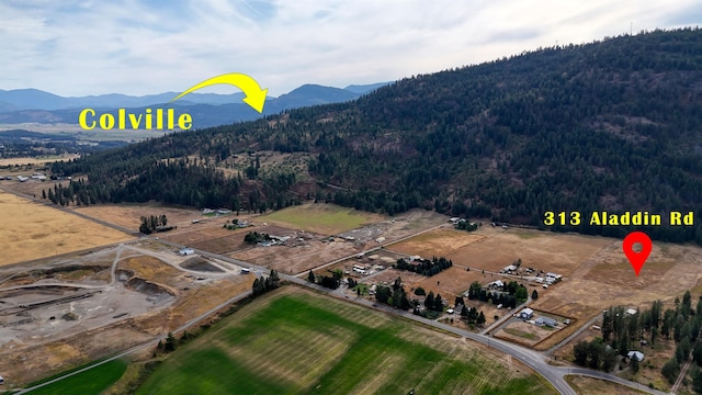 313 Aladdin Rd, Colville, WA 99114 - photo 2