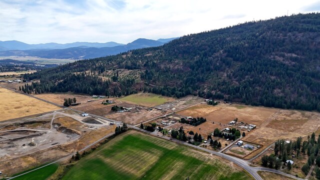 313 Aladdin Rd, Colville, WA 99114 - photo 3