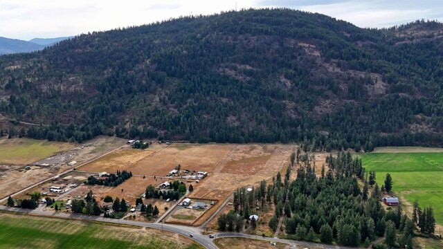 313 Aladdin Rd, Colville, WA 99114 - photo 20