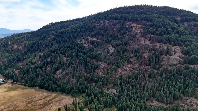 313 Aladdin Rd, Colville, WA 99114 - photo 23