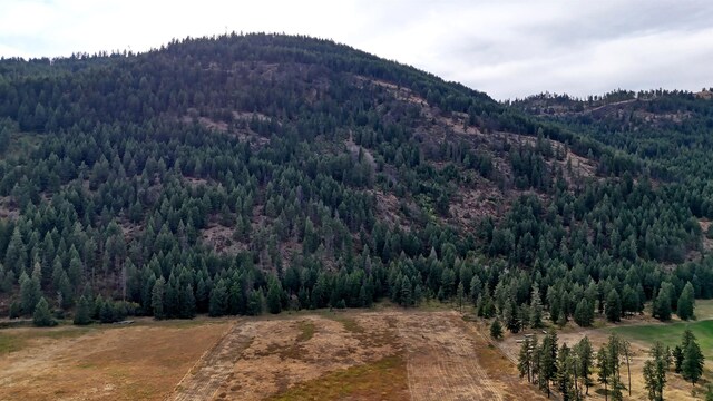 313 Aladdin Rd, Colville, WA 99114 - photo 24
